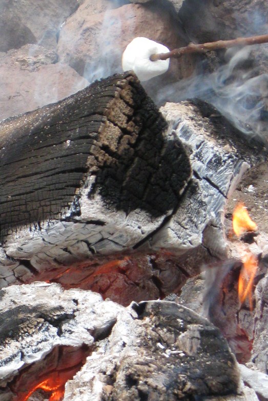 145.JPG