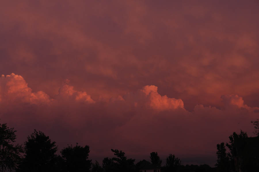 July 24, 2010<br><font size=2>Just Peachey</font>