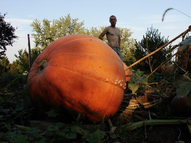 October 7, 2007<br><font size=2>The Great Pumpkin</font>