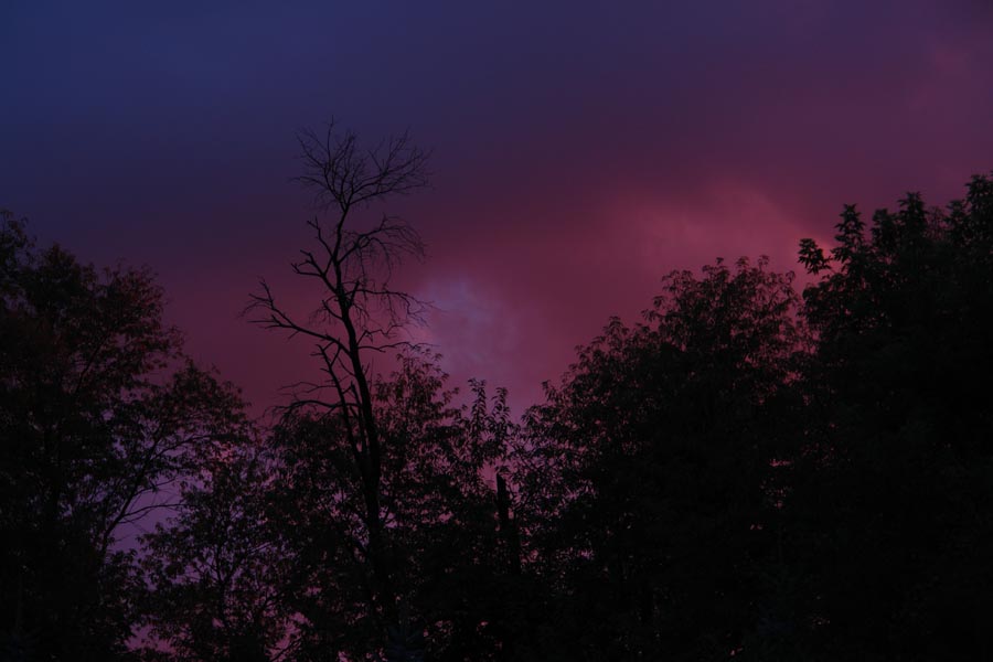 August 17, 2009<br><font size=2>Bruised Sky</font>