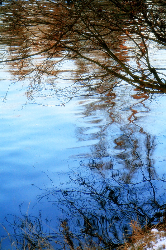 winter reflections.