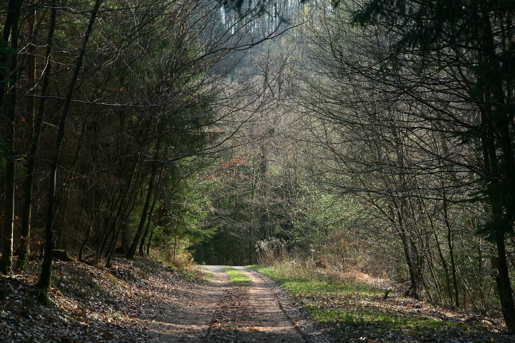 april forest