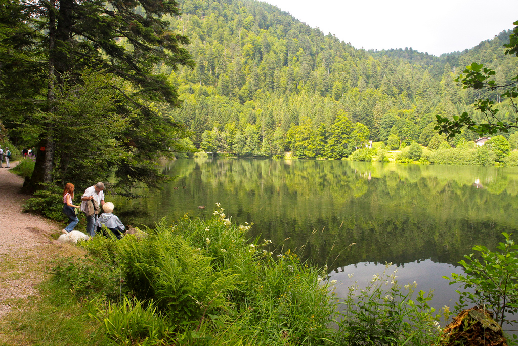 le lac de Retournemer en t.