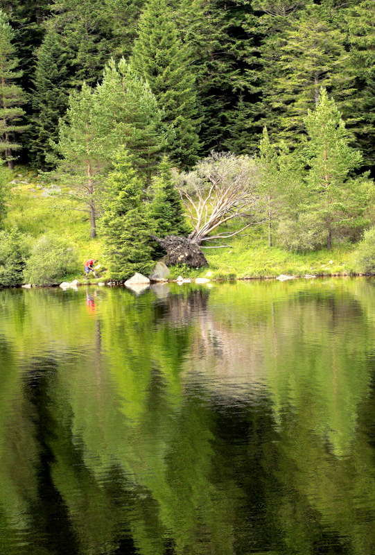 the trouts lake