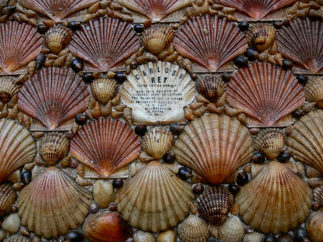 detail -shell house