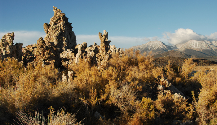 Looking back at the bushes and tufas.