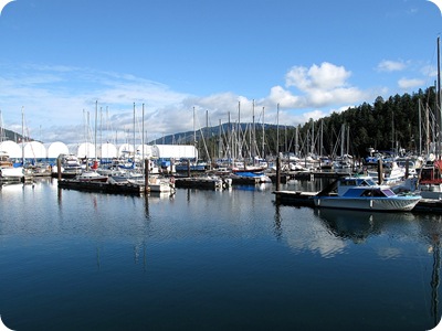 Maple Bay Marina from north