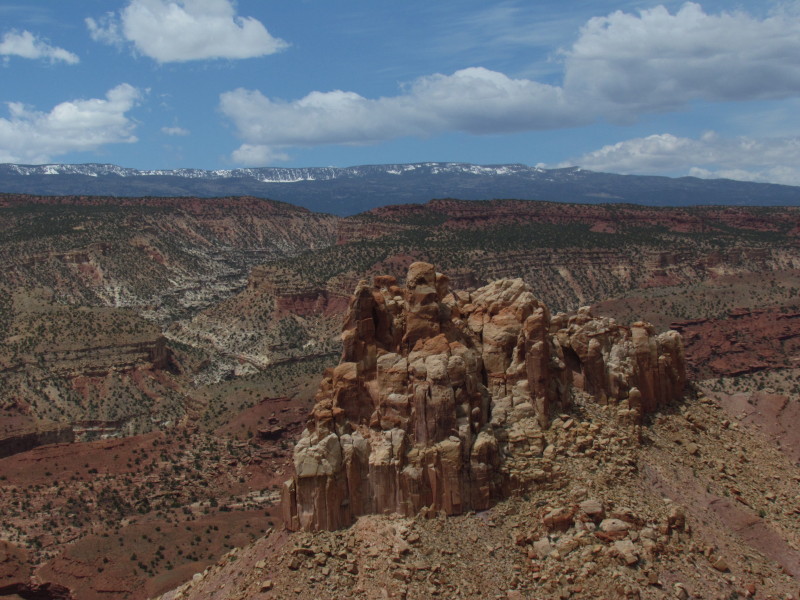 IMG_9694_1.JPG