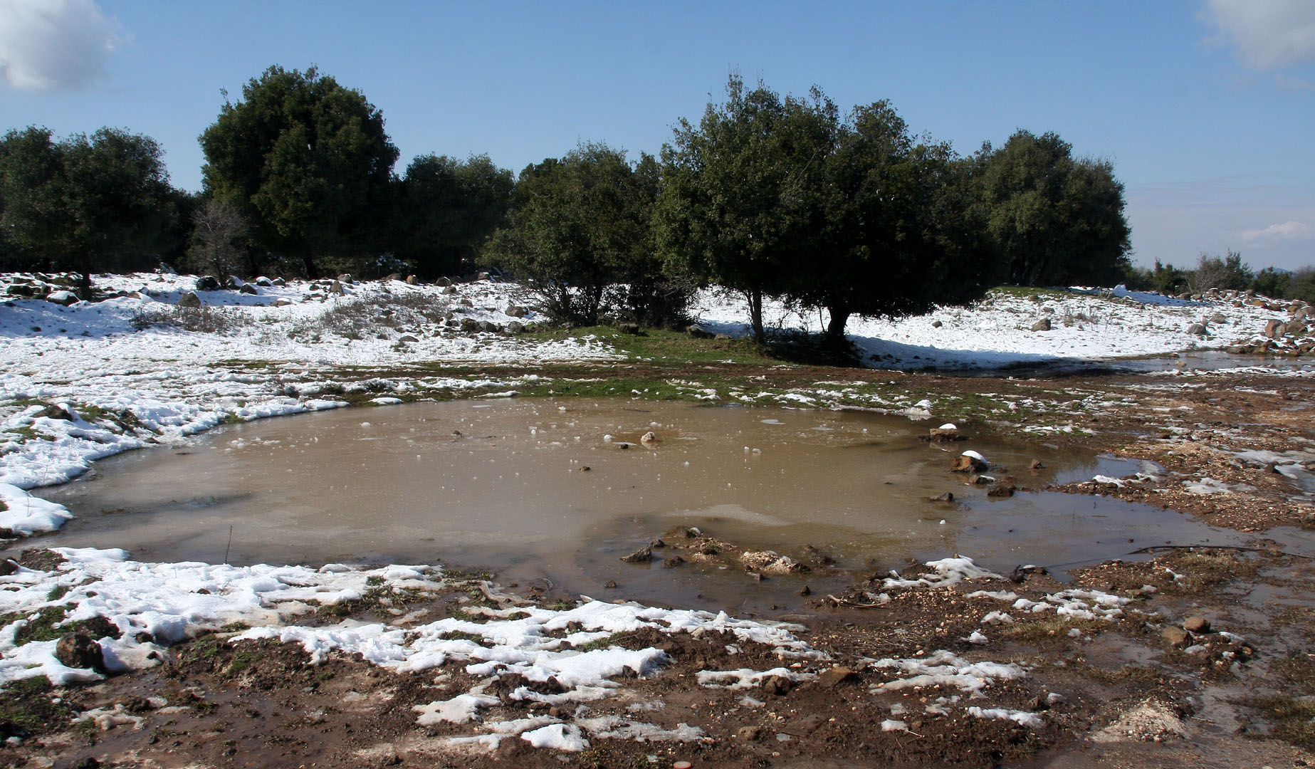 Golan_6-2-2010 (29).JPG