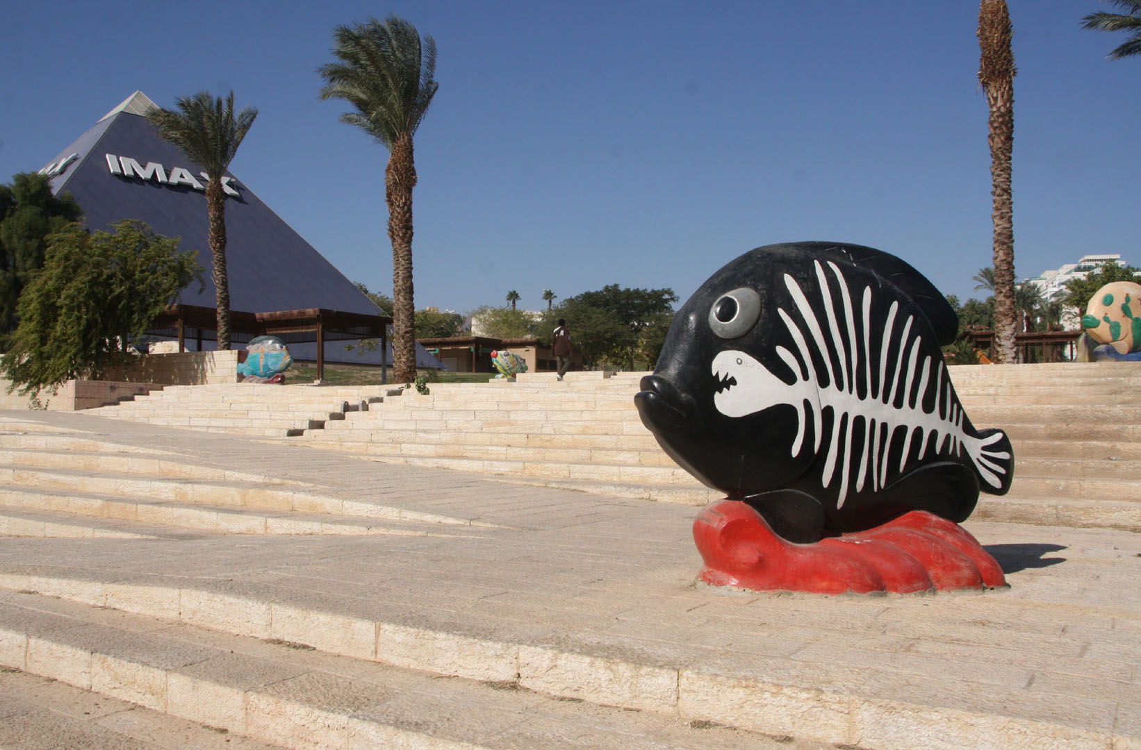 Eilat_30-11-2011 (34).JPG