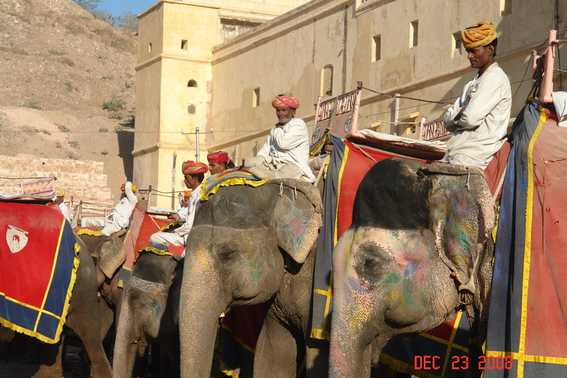 jaipur04