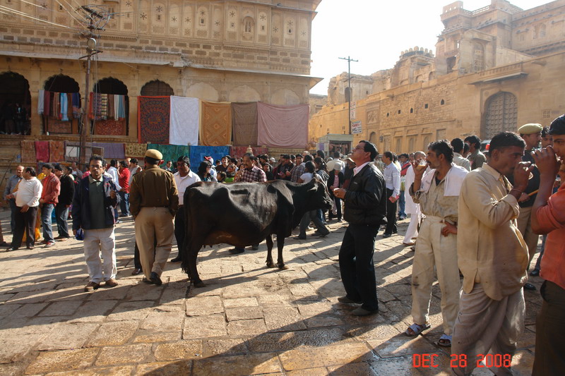 jaisalmer22