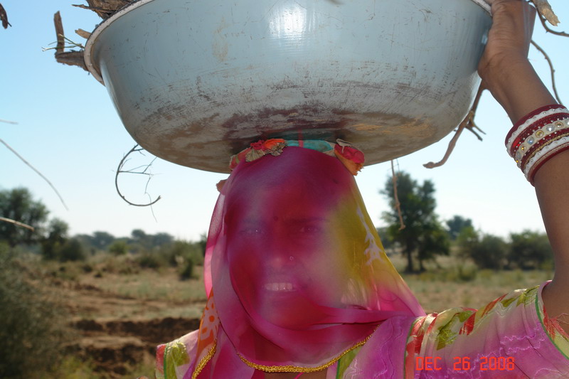 rajastan countryside26