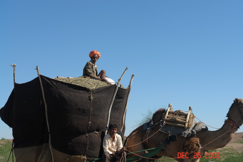 rajastan countryside32