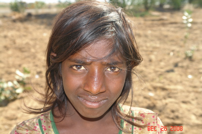 rajastan countryside41