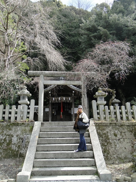 011 kyoto shrines and temples.JPG