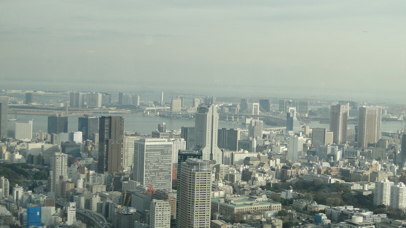 020 tokyo mori museum.JPG
