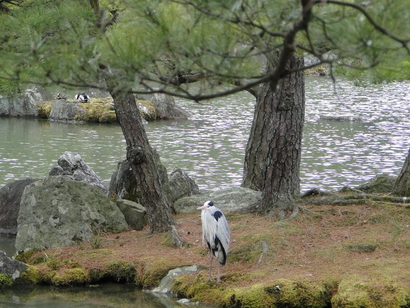 067 kyoto shrines and temples.JPG