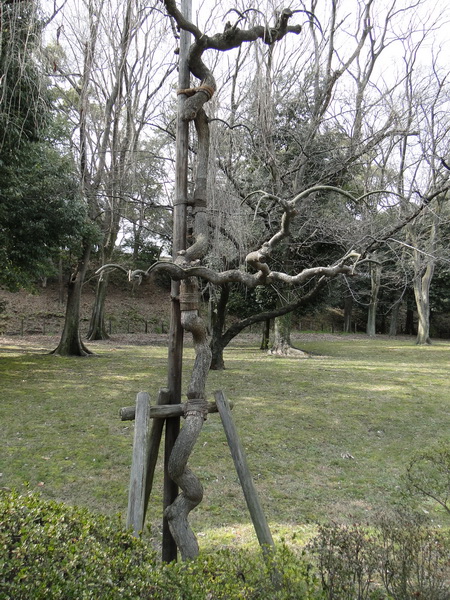 086 kyoto shrines and temples.JPG