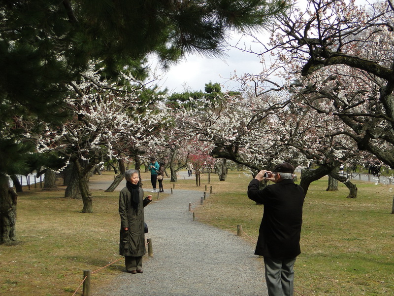 087 kyoto shrines and temples.JPG