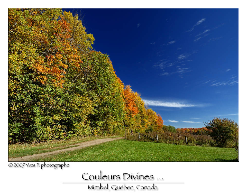 Colors ...