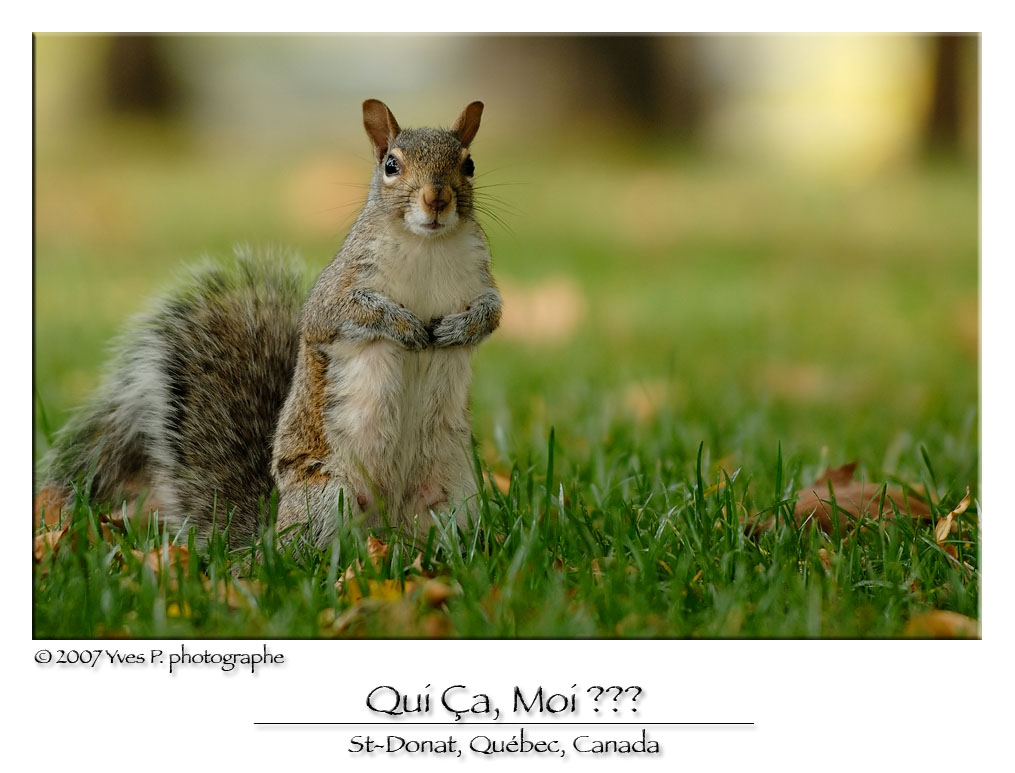 Who, Me ???