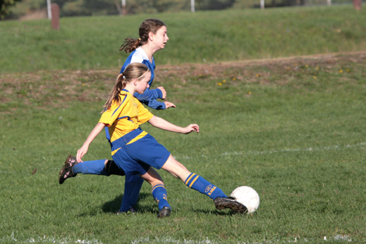 IMG_3929.jpg