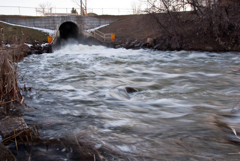 Mill Pond Dam  ~  April 7