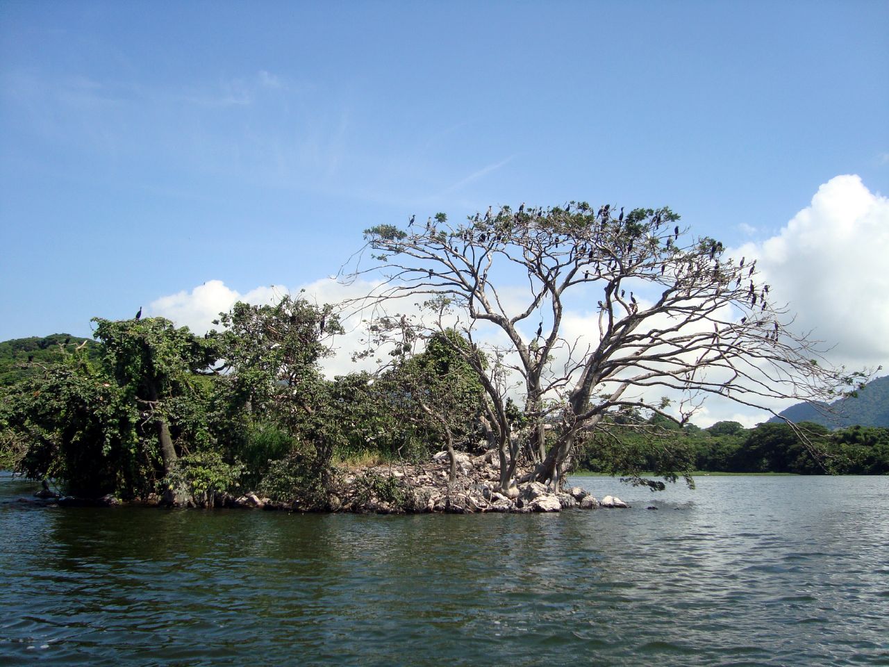 Catemaco 083.jpg