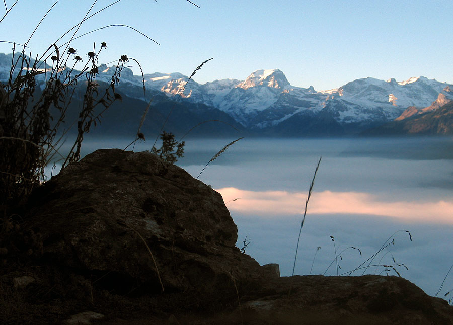 Blick zum Tdi