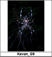 o3/49/607449/1/104584585.F1dksBEn.POTN_191_challenge_thumbs.gif