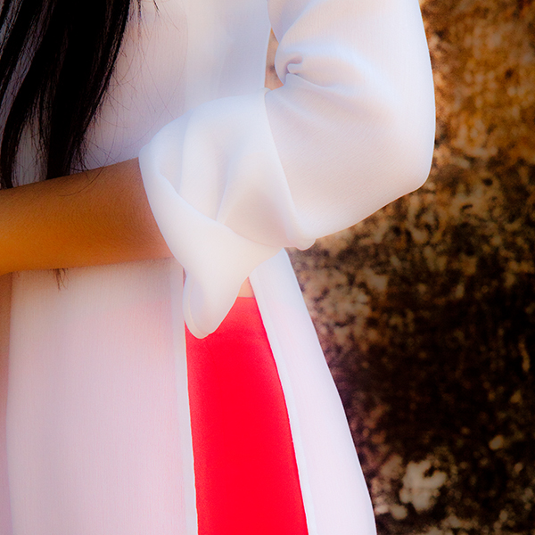 Ao dai abstract