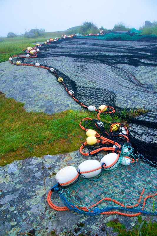 Nets Drying