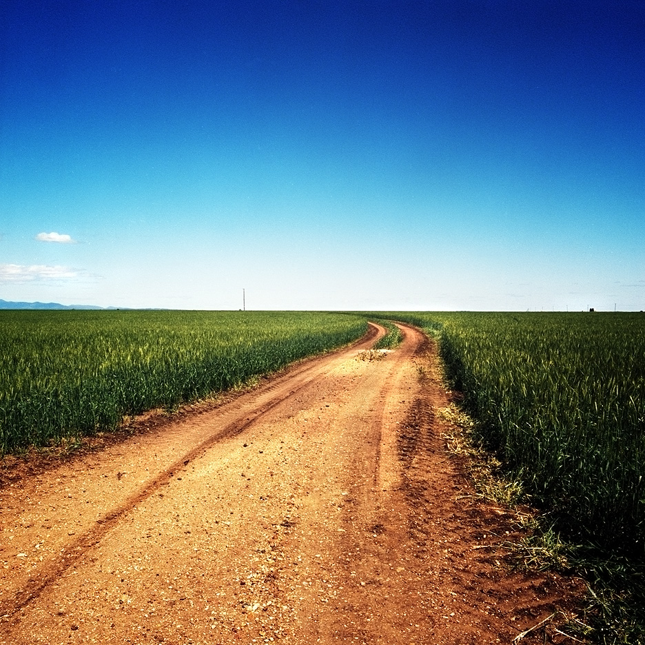 Wheatfield Track
