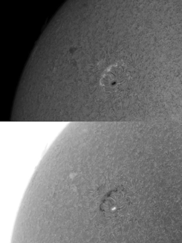 AR 1113 17 October 2010