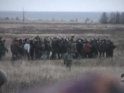o3/49/818749/1/89977457.kdIH1VEL.piparsnappa2.jpg