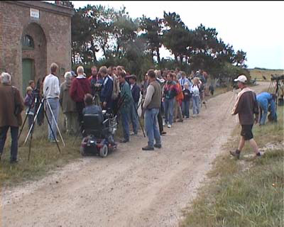 o3/49/818749/1/89977496.SiLDTX7L.vattensangare1.jpg