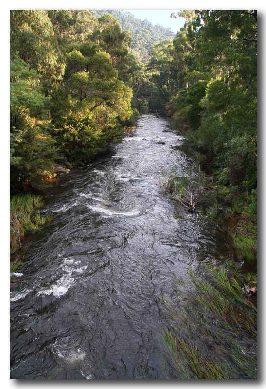 Yarra river Warburton