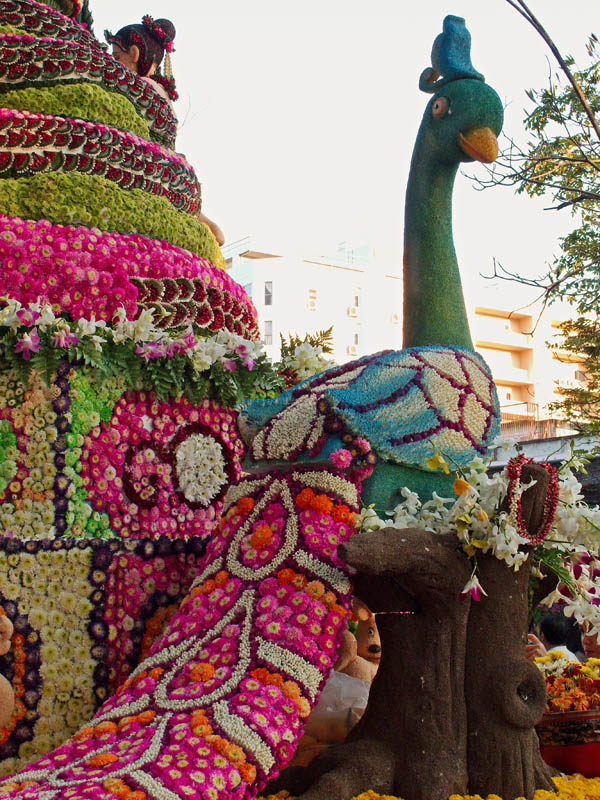 Flower Peacock