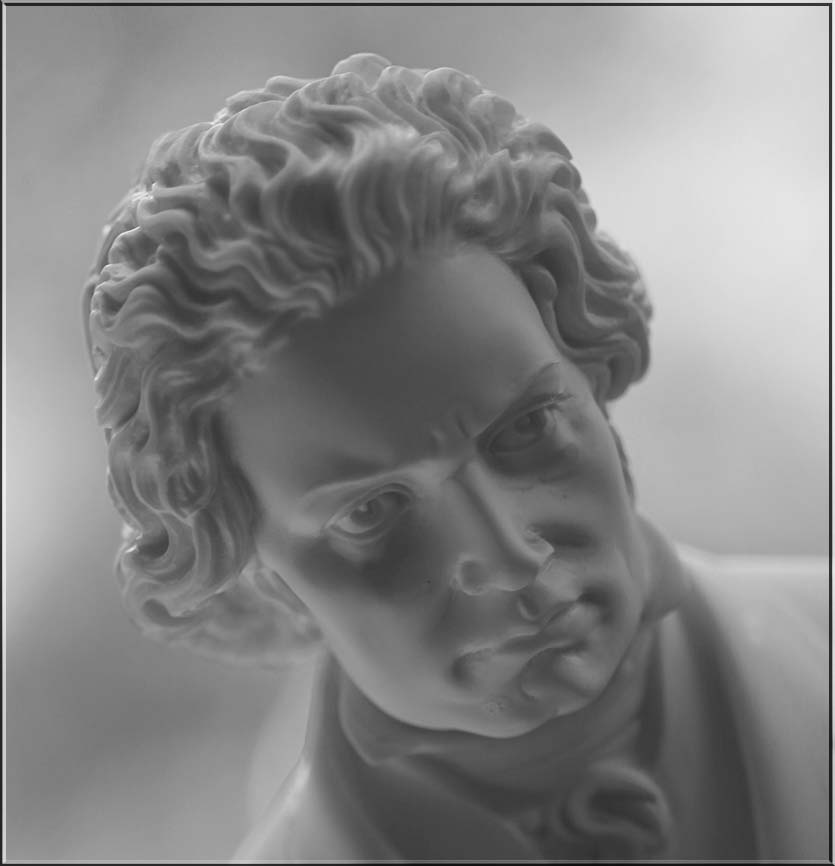 Ludwig
