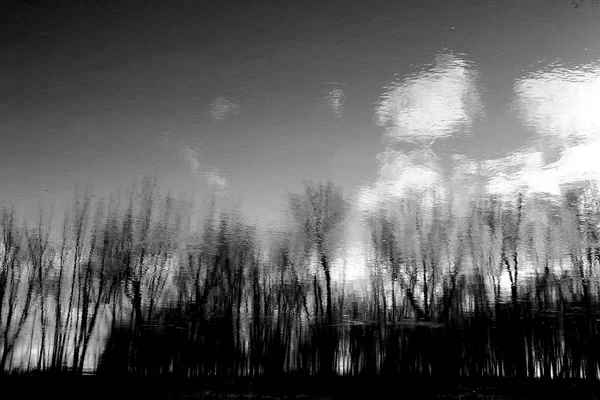 Reflection in the nature