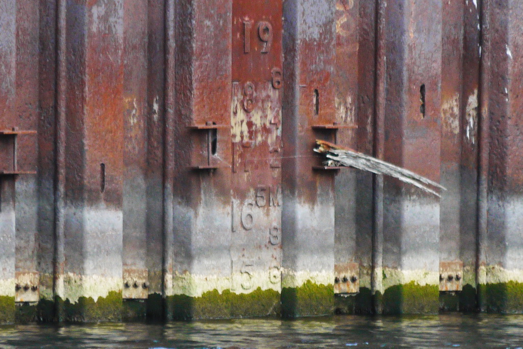 Shipyards Drydock Water Level - Sept 29, 2012 @ 1530
