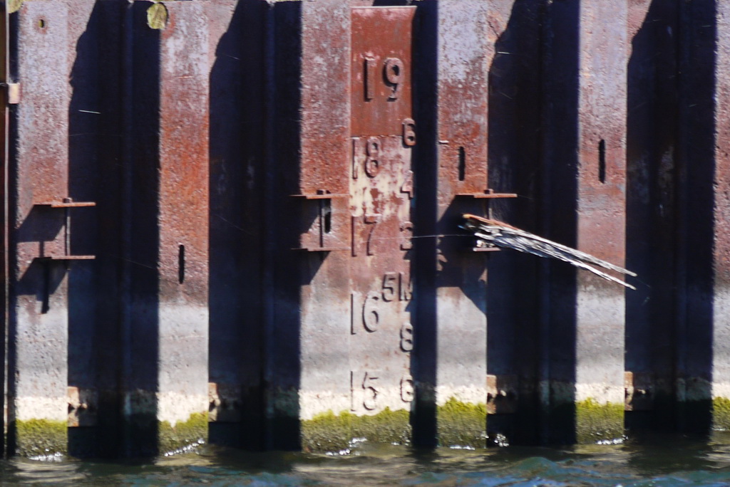 Shipyards Dry Dock Water Level Sept 30, 2012 @ 1345