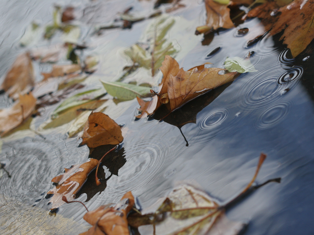 Ripples
