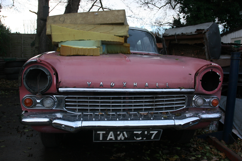 December 2 2007: <br> Padding with a Pink Cresta