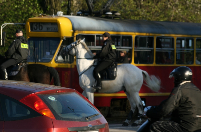 means of transport