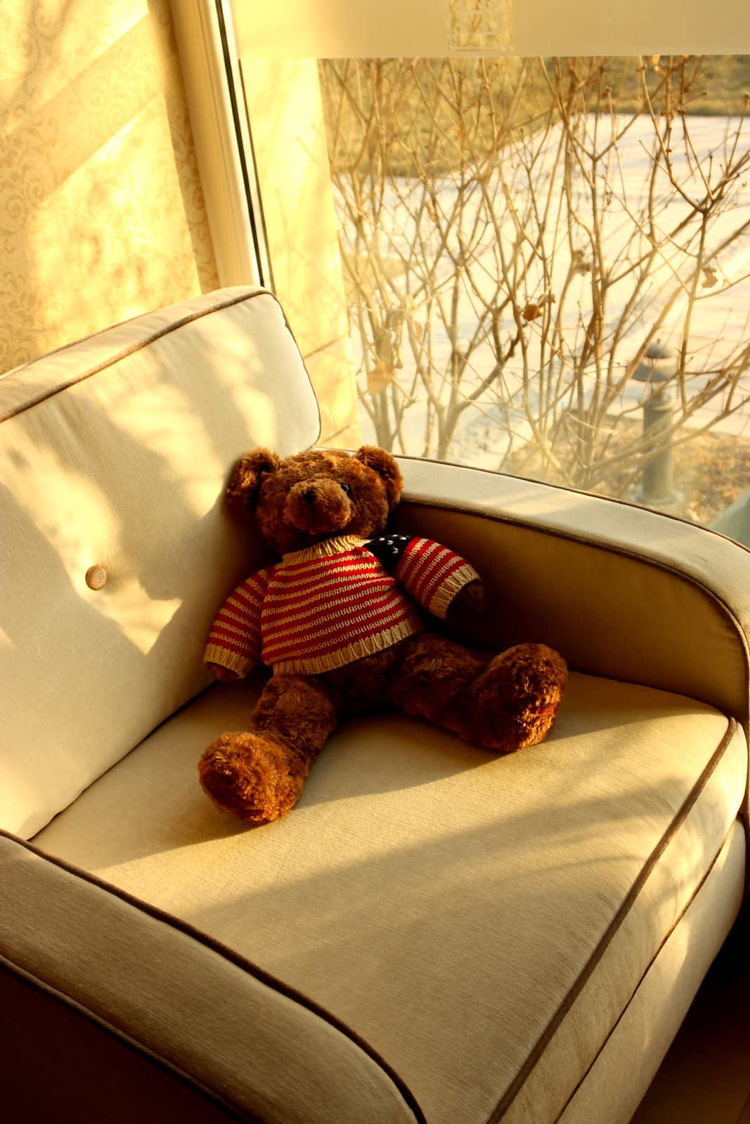 Bear