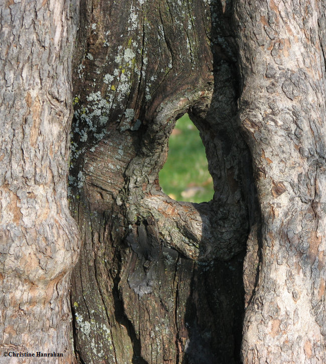 Looking through to the other side