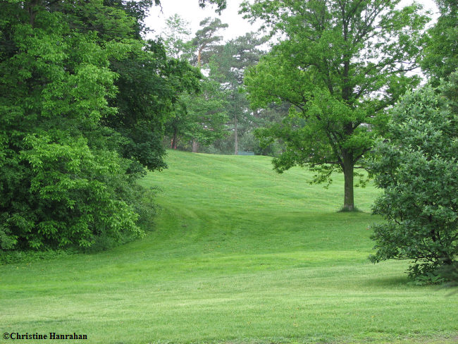 Arboretum