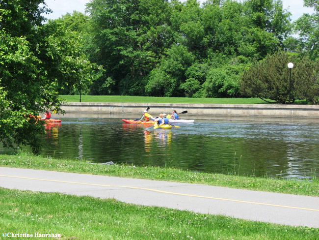 Kayaking on the canal